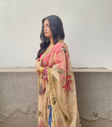 Shocking pink with hand painted dupatta