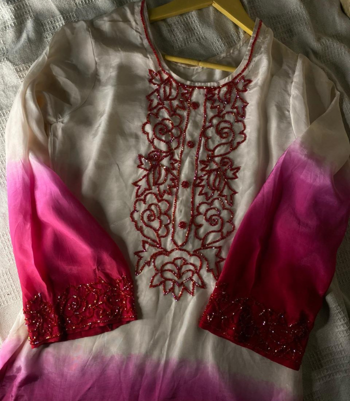 Roshni hand painted dress (1)